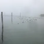 Zwischen Hafen Und Strandbad * Kostnice