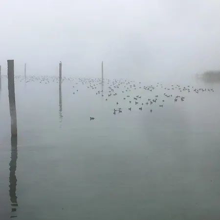 Zwischen Hafen Und Strandbad * Konstanz