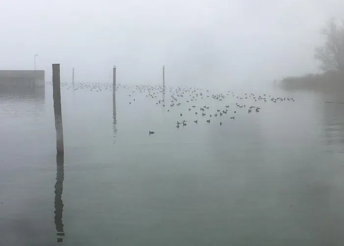 Zwischen Hafen Und Strandbad * Konstanz